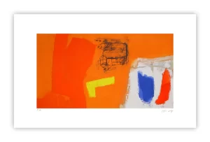 Joaquin Capa   COLORS  ORANGE   JC 082