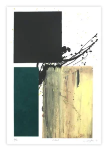 RAFAEL CANOGAR_Polea I (365)